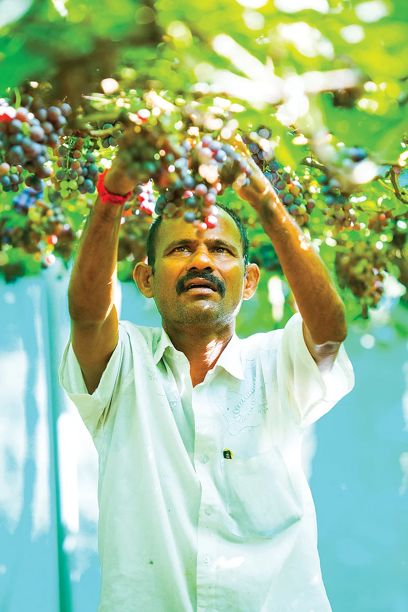 தோட்டத்தில் சுருளிராஜ்