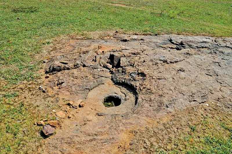 திருநின்றியூர் லட்சுமிபுரீஸ்வரர்... காரைக்குடி பலகாரம்... சிவகாசி பட்டாசு... கரூர் ஆட்டுச்சந்தை...