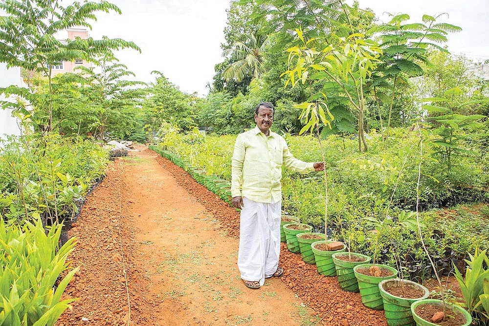 மரக்குழந்தைகளுடன் ராஜா