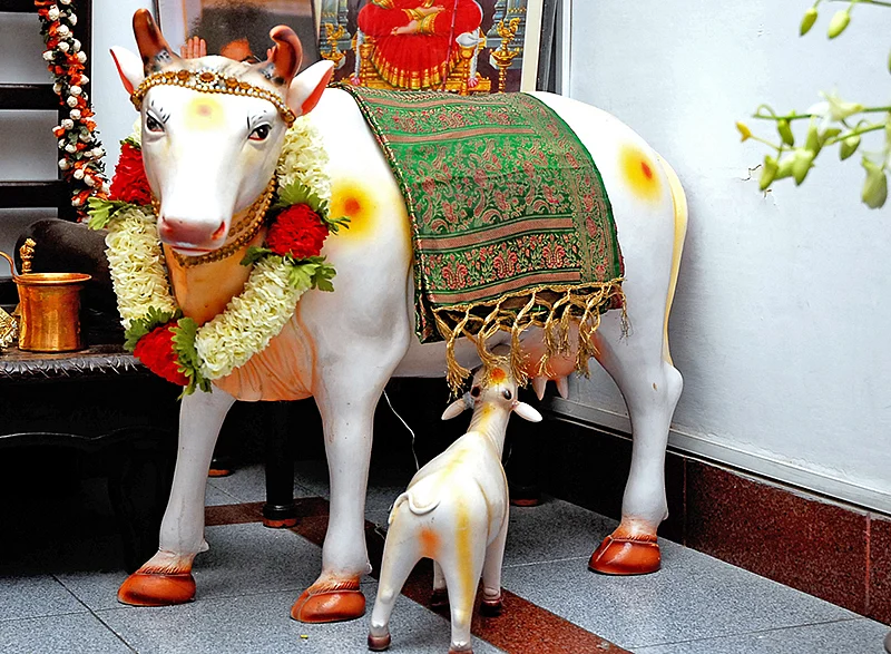 `கேது தோஷமா?'