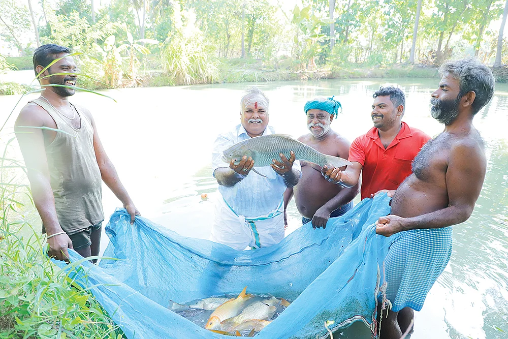 மீன் அறுவடையில் பணியாளர்களுடன் முருகேசன்