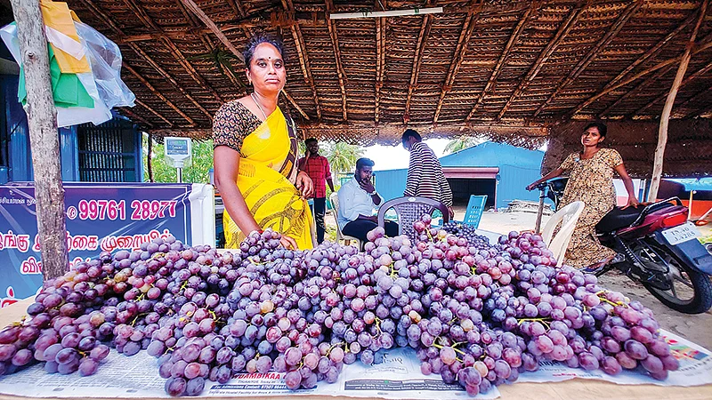 நேரடி விற்பனை