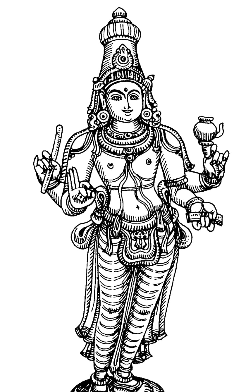 தனுசு ராசி அன்பர்களே நீங்கள் இப்படித்தான்