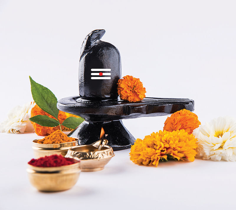 சனிப்பிரதோஷம்