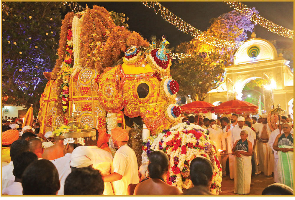கதிர்காமம் திருவிழாவில் ஷடாக்ஷர யந்திரம் சுமந்து வரும் யானை