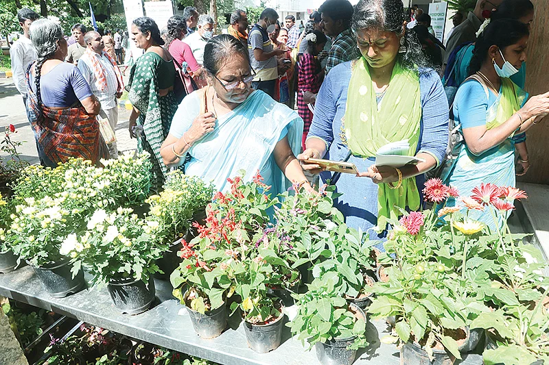 மாடித்தோட்ட அரங்குகளில் குவிந்த மக்கள்