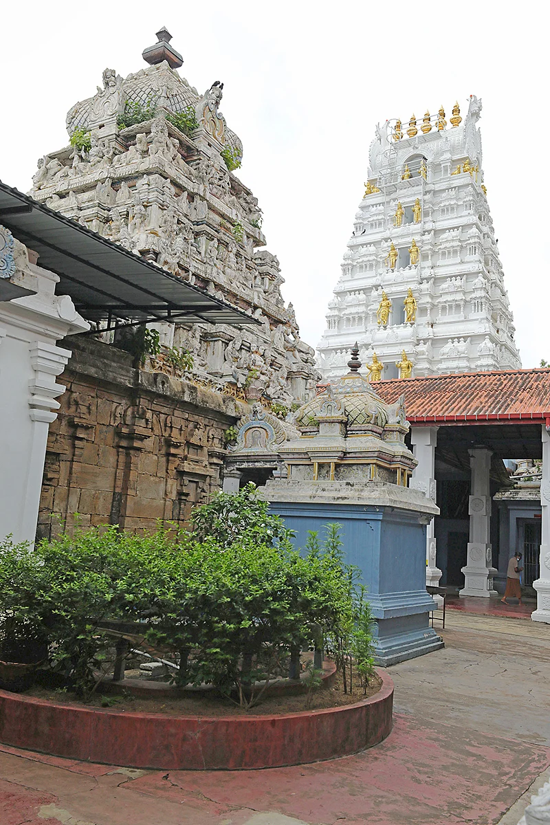 முன்னேஸ்வரம் ஆலயம்