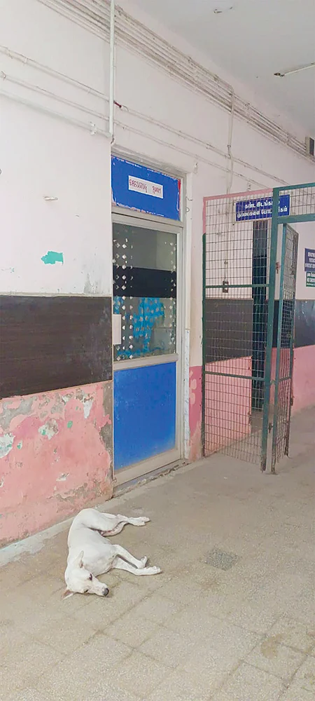 அவனே சாகணும்னு முடிவு பண்ணிட்டான். நாங்க ஏன் காப்பாத்தணும்?