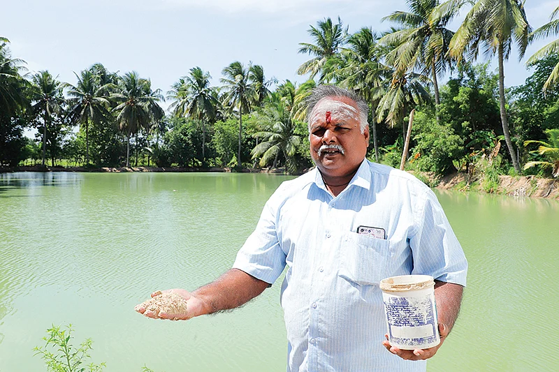 மீன் தீவனம்
