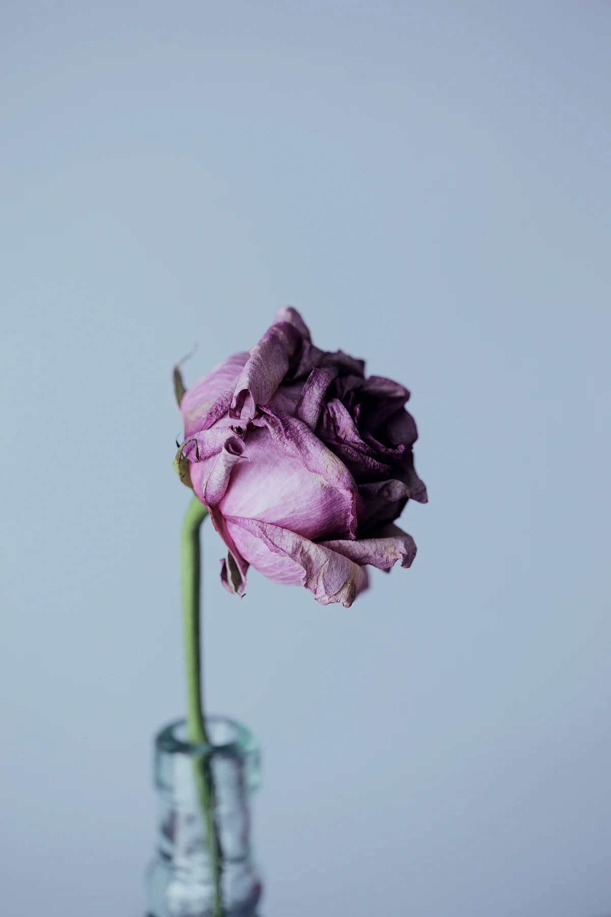 Representational image
