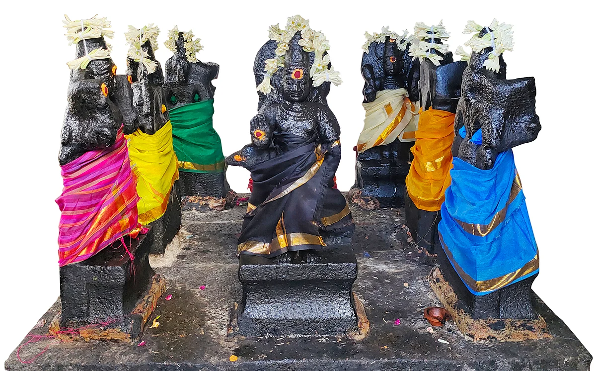 மகர ராசி அன்பர்களே
நீங்கள் இப்படித்தான்!