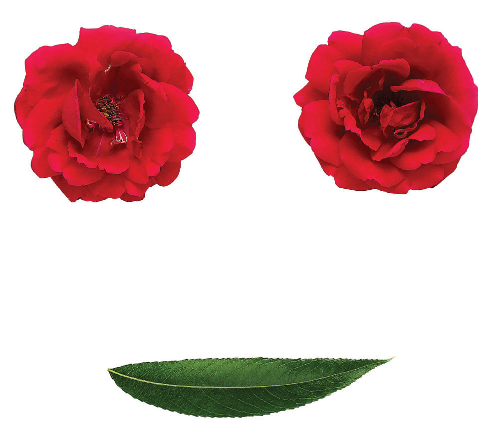 இருப்பும் இறப்பும் - கவிதை