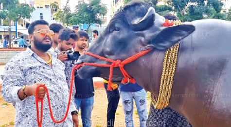 மது யாதவ்