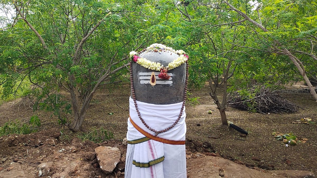முருங்கைத் தோட்டத்தில் கிடைத்த 1,000 ஆண்டுப் பழைமையான சிவலிங்கம், நந்தி - பக்தர்கள் பரவசம்!