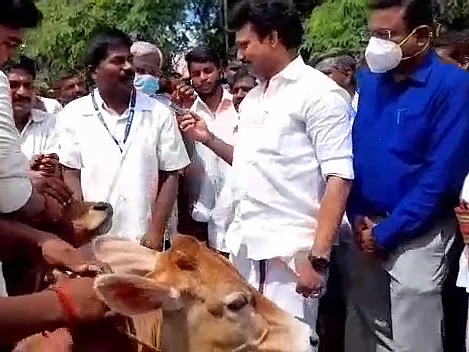 கால்நடை முகாம்: 3 மணிநேரம் தாமதமாக வந்த அமைச்சர்; தண்ணீர், உணவின்றி தவித்த மாடுகள்!