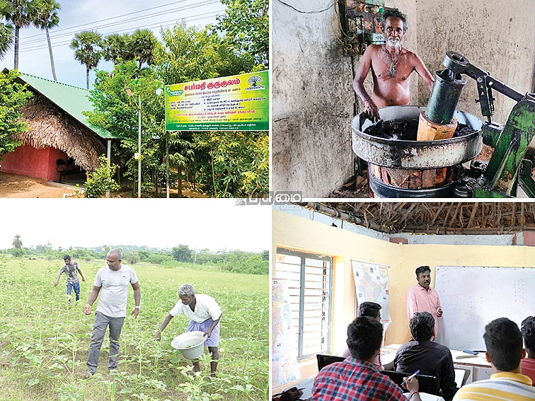 நெல் சாகுபடி, நாட்டு மாடுகள்,
மரச்செக்கு... அரசுப் பணியாளர்கள் மட்டுமல்ல...