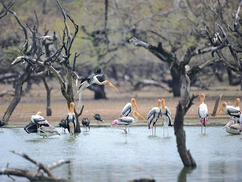 கூந்தங்குளம்