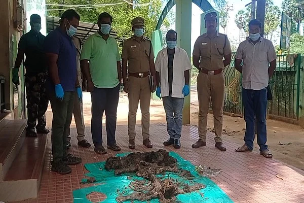 மருத்துவக் குழு மற்றும் வனத்துறை அதிகாரிகள்