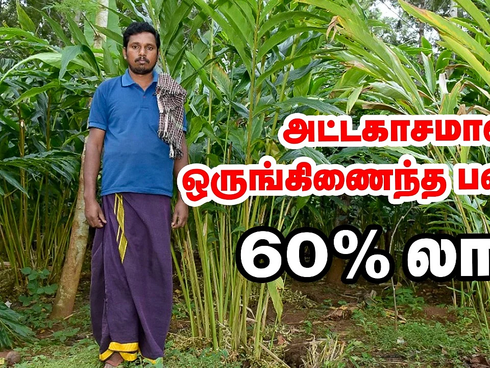 ஏலக்காய், மிளகு, மாடு, மீன்... ஒருங்கிணைந்த பண்ணையில் அசத்தும் கொல்லிமலை இளைஞர்!