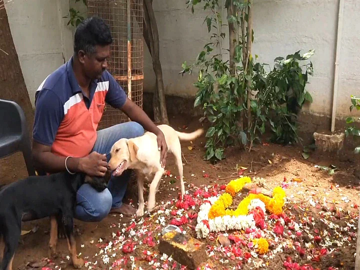 செல்லபிராணி 'சச்சின்' கல்லறை