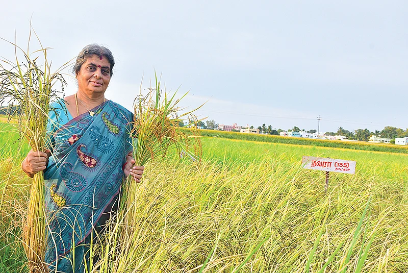 லெட்சுமிதேவி