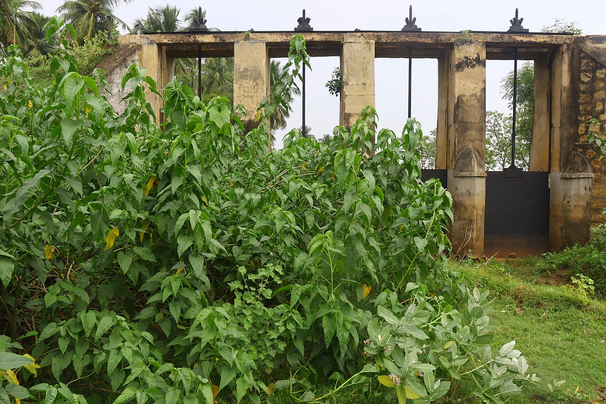 புதர் மண்டிக் கிடக்கும் கண்மாய் மதகுகள்... சீரமைக்க விவசாயிகள் கோரிக்கை!