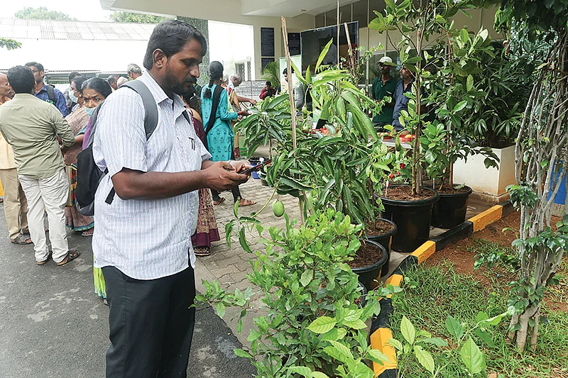 மாடித்தோட்ட அரங்குகளில் குவிந்த மக்கள்