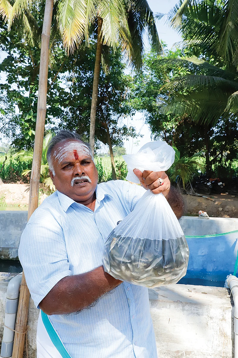 மீன் குஞ்சுகளுடன் முருகேசன்