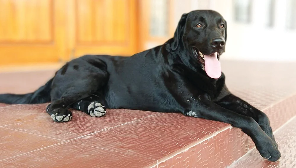 இன்பாக்ஸ்