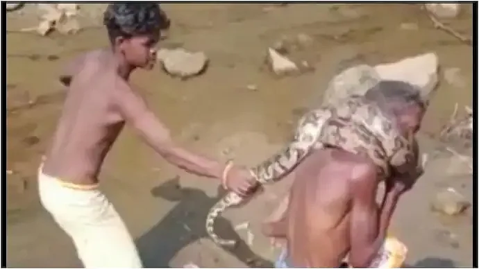 ஜார்க்கண்ட்: போதையில் பாம்பைக் கழுத்தில் சுற்றிக்கொண்ட போதை ஆசாமி - மகனின் உதவியால் தப்பிய தந்தை