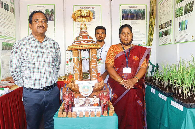 வெல்லத்தேருடன் சரவணன்