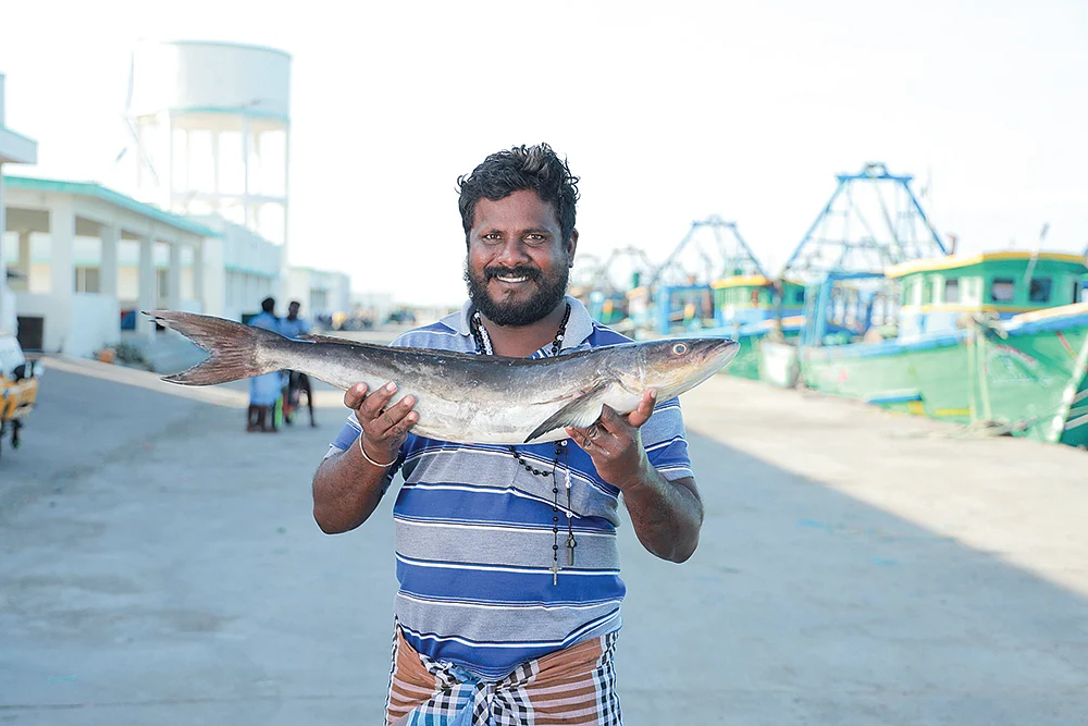 வலைவிரிக்கும் யூடியூப் மீனவர்கள்