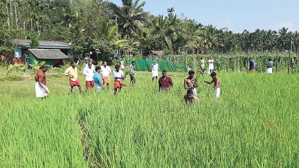 இன்பாக்ஸ்