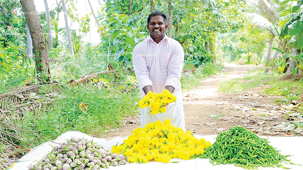 தோட்டத்தில் இமானுவேல்