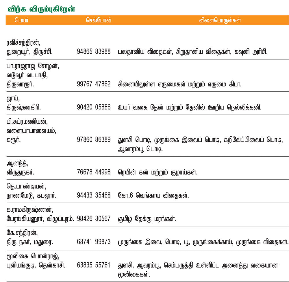 பசுமை சந்தை