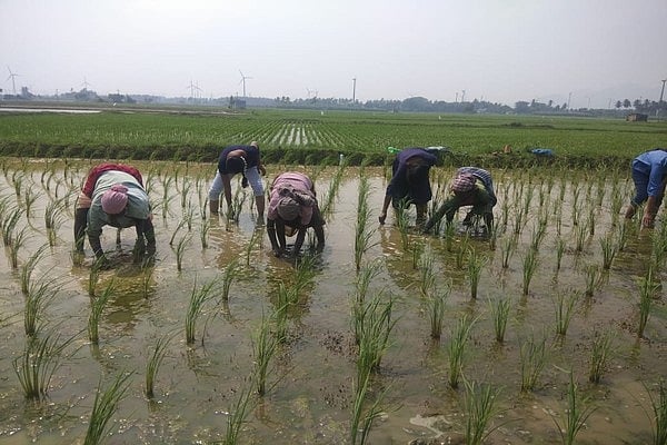 ``காட்டுயானம் நெல் விளைய ஆறு மாதம் ஆகுமா?” ஆச்சரியப்பட்ட உத்தரப்பிரதேச மாணவிகள்!