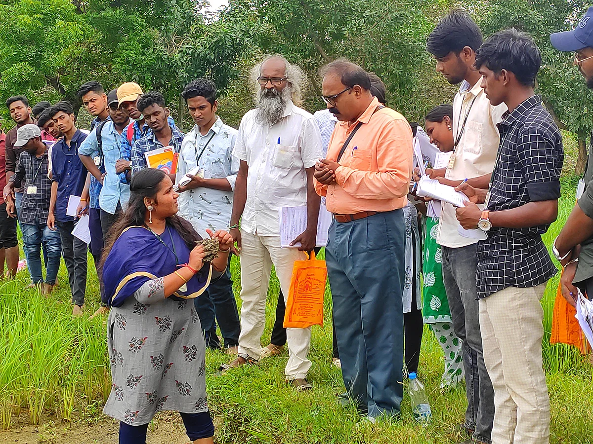 நூற்றுக்கணக்கான பாரம்பர்ய நெல் ரகங்கள்; புதுச்சேரிக்கு பெருமை சேர்க்கும் இயற்கை விவசாயி!