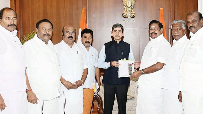 மிஸ்டர் கழுகு