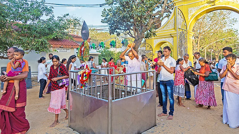 கரடிகள் உருவில் சித்தர்கள்!
