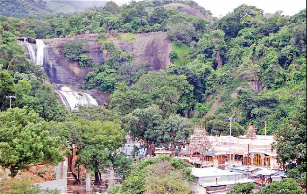 குறையைத் தீர்ப்பான் குற்றாலநாதன்!
