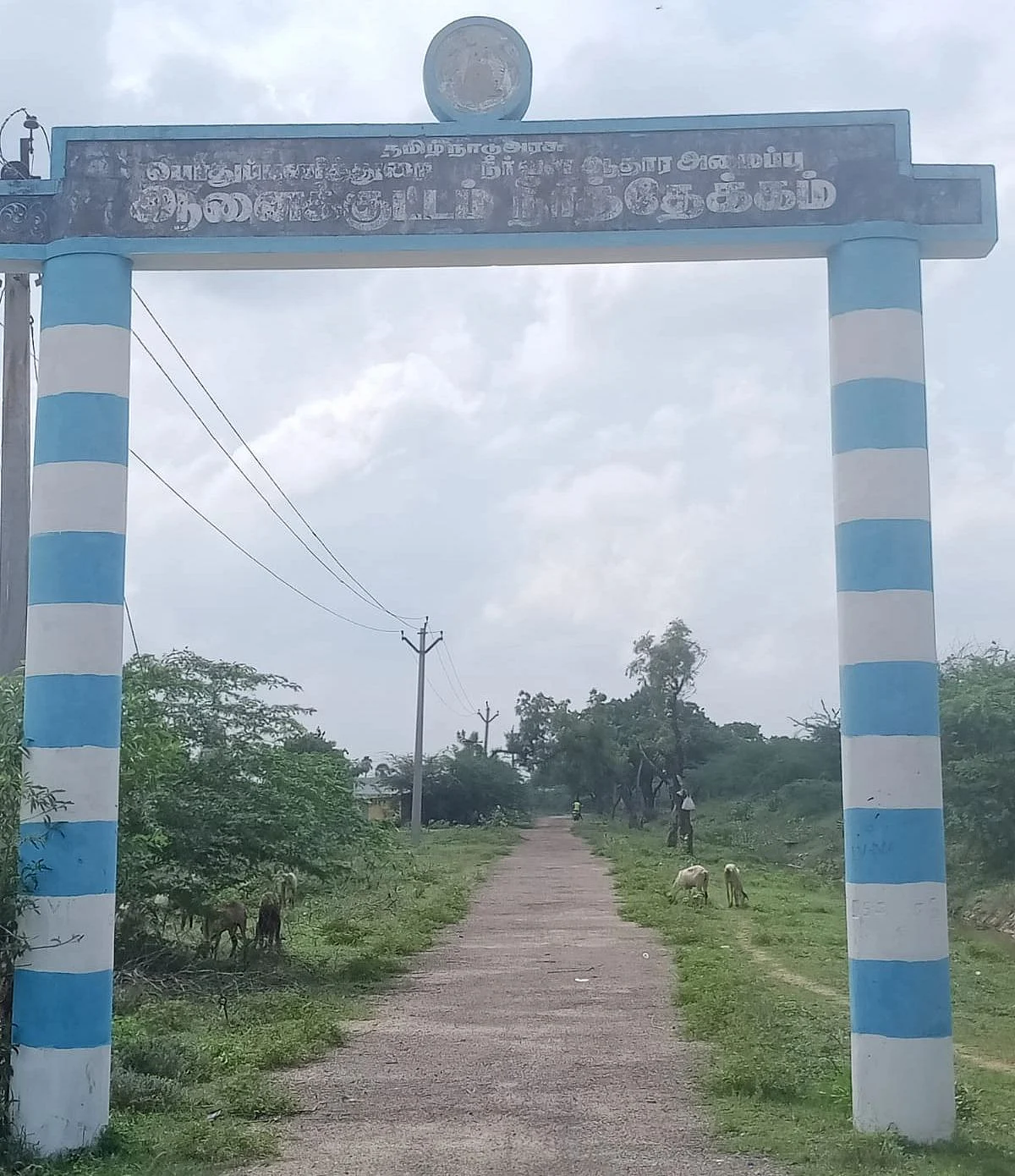 நீர்தேக்கம்