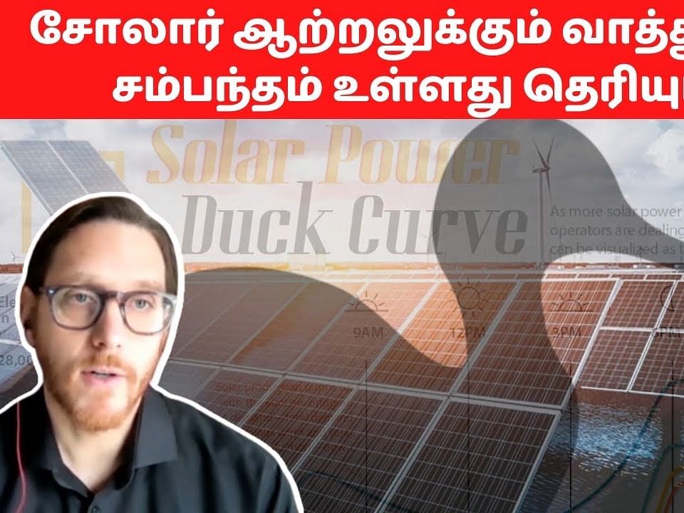 சோலார் ஆற்றலுக்கும் வாத்துக்கும் சம்பந்தம் உள்ளது தெரியுமா?!  DW | Vikatan
