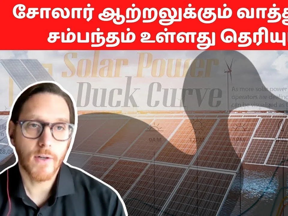 சோலார் ஆற்றலுக்கும் வாத்துக்கும் சம்பந்தம் உள்ளது தெரியுமா?! DW | Vikatan