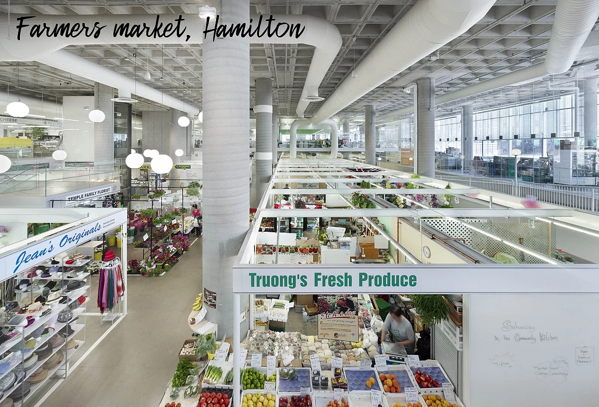 Hamilton market