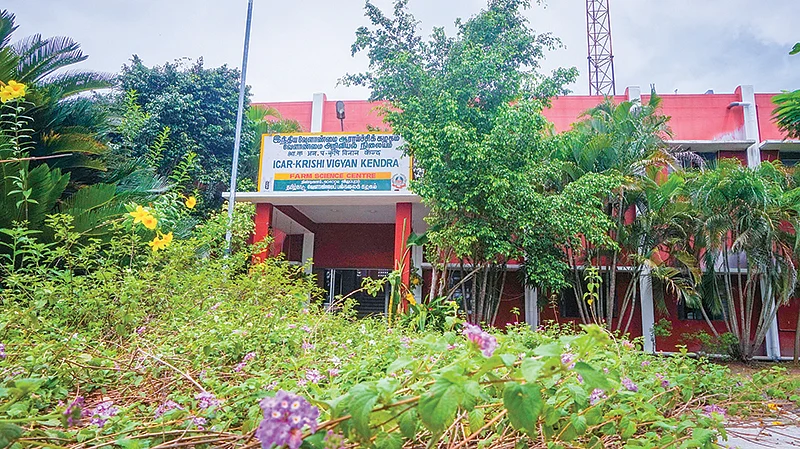 திண்டிவனம் எண்ணெய் வித்து ஆராய்ச்சி நிலையத்தில்