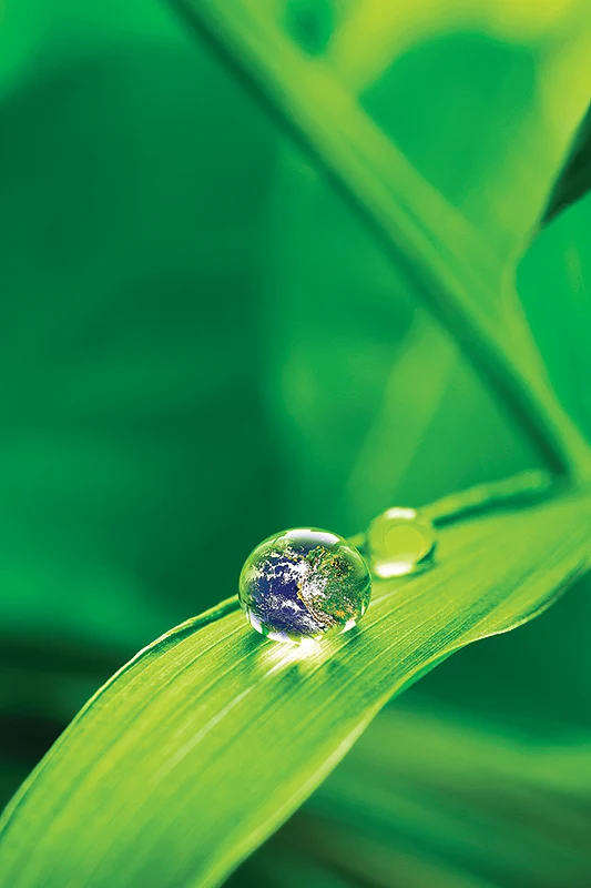 சொல்வனம் - வேண்டுதலின் பயணம்