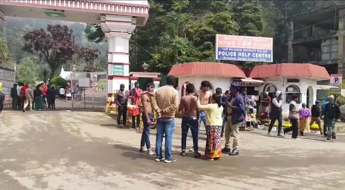 தேனீக்கள் கொட்டியதில் காயம்