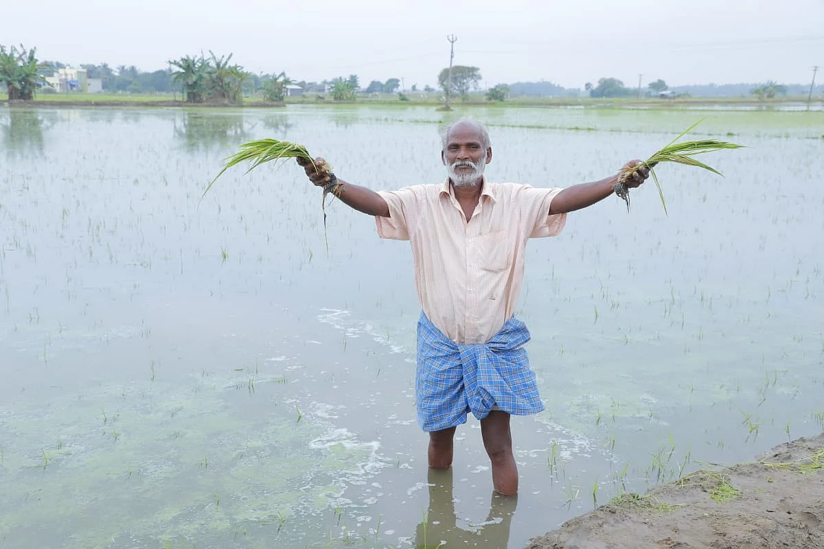 மழை நீரில் மூழ்கிய பயிரைக் காட்டும் விவசாயி