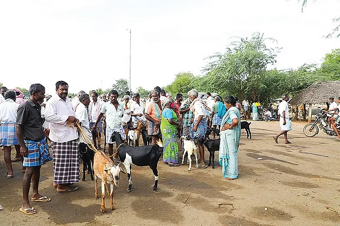 மாதிரி படம்