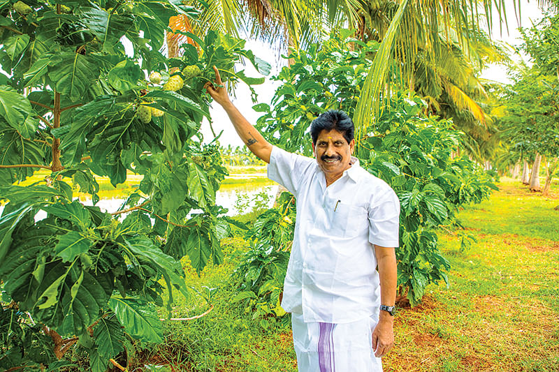 நோனி மரங்களுடன் கு.ப.கிருஷ்ணன்